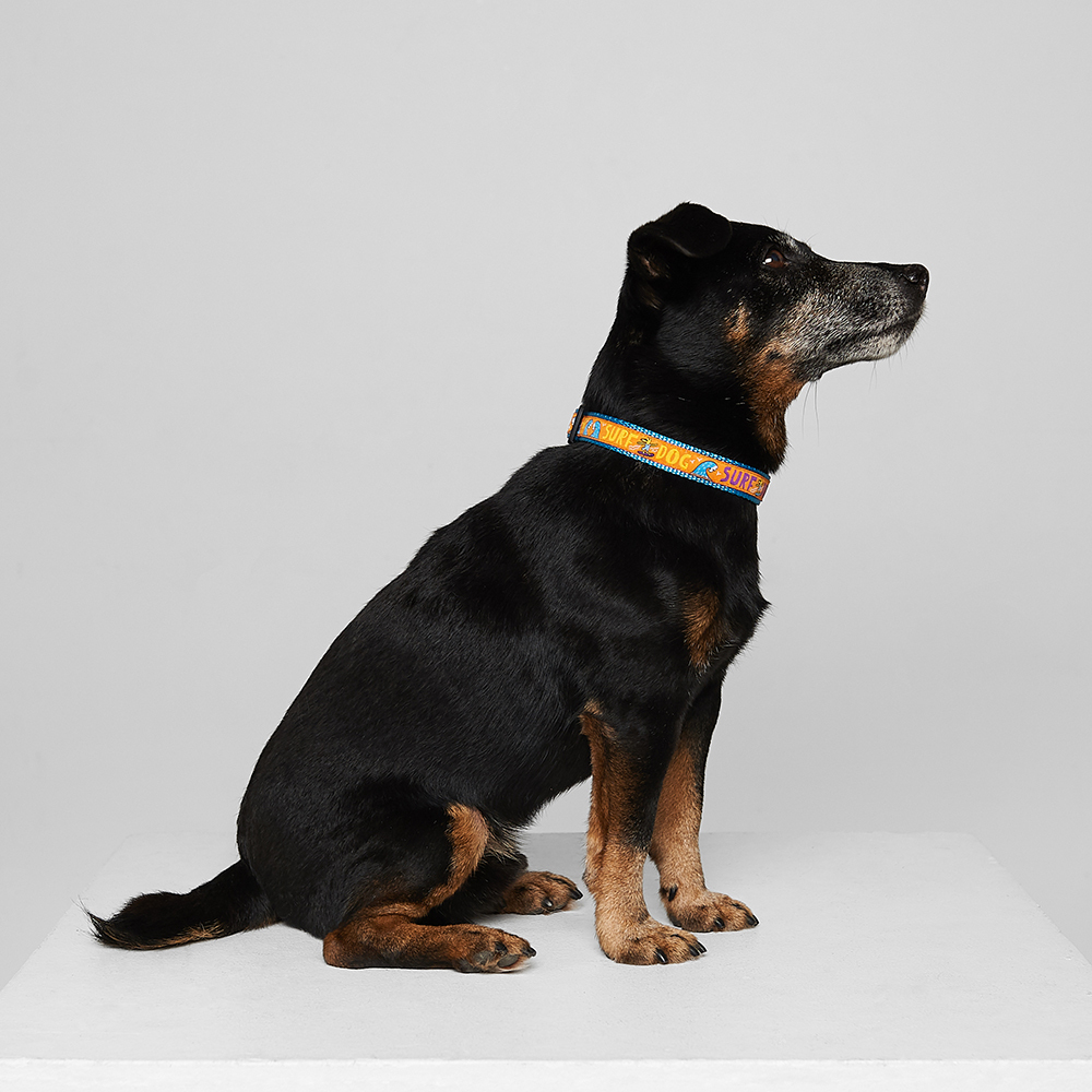 Collar SURF DOG
