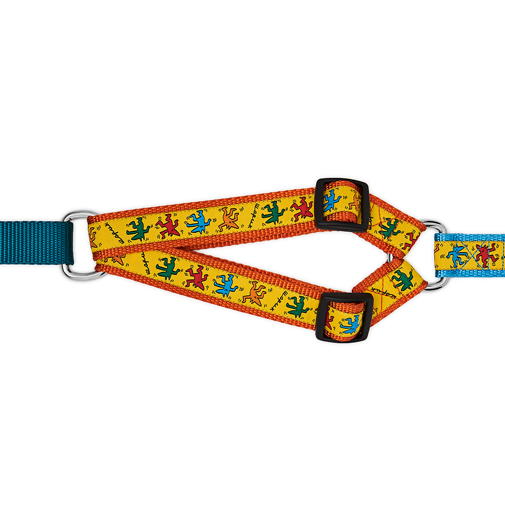 Harness DOG DISCO