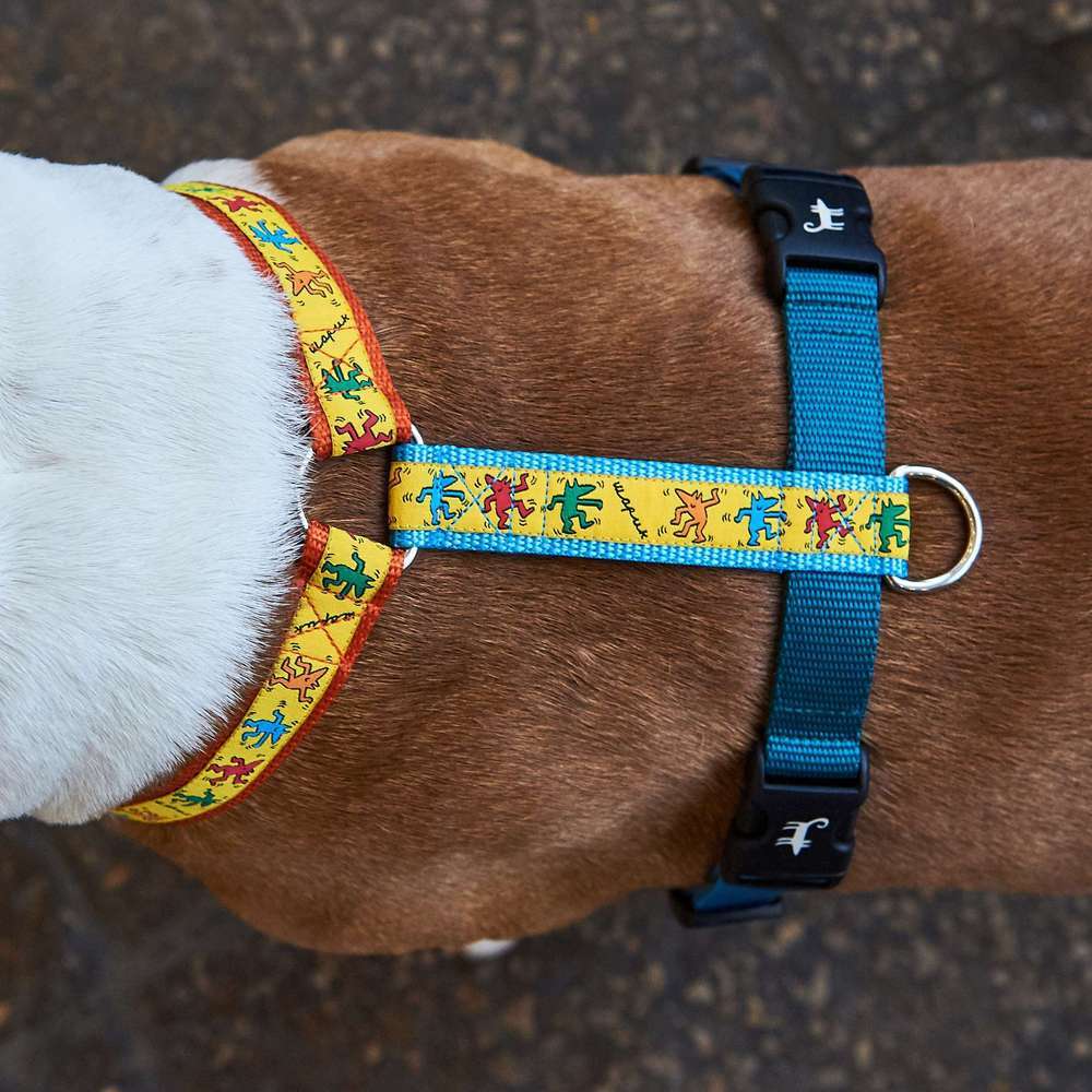 Harness DOG DISCO