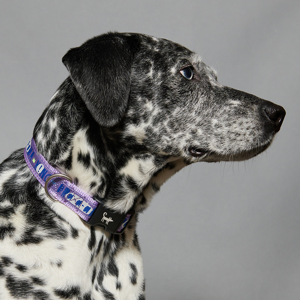 Collar DRAMA KING