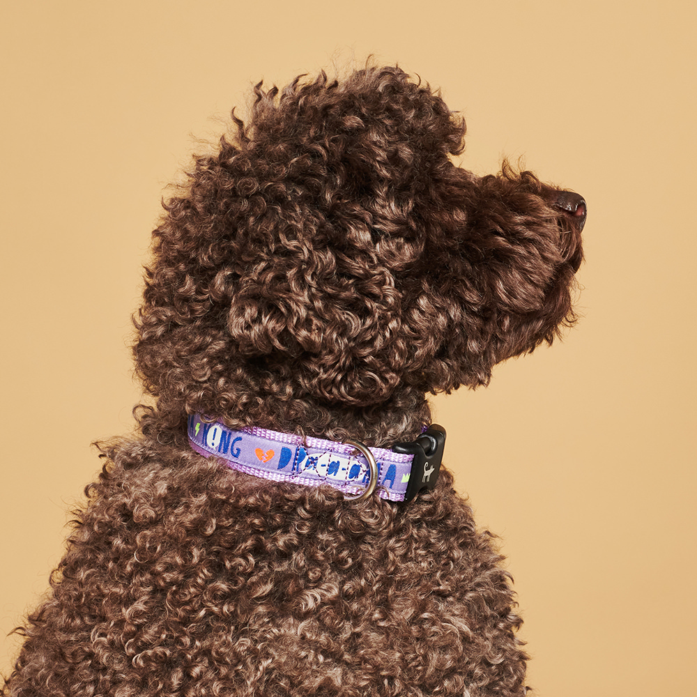 Collar DRAMA KING