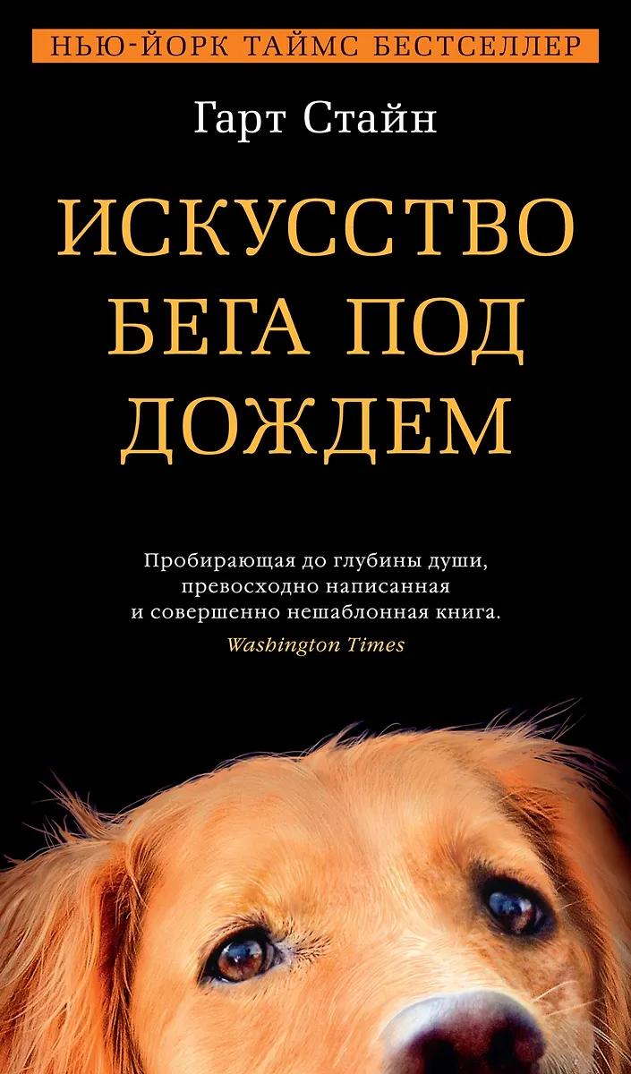 Гарт Стайн. Искусство бега под дождём