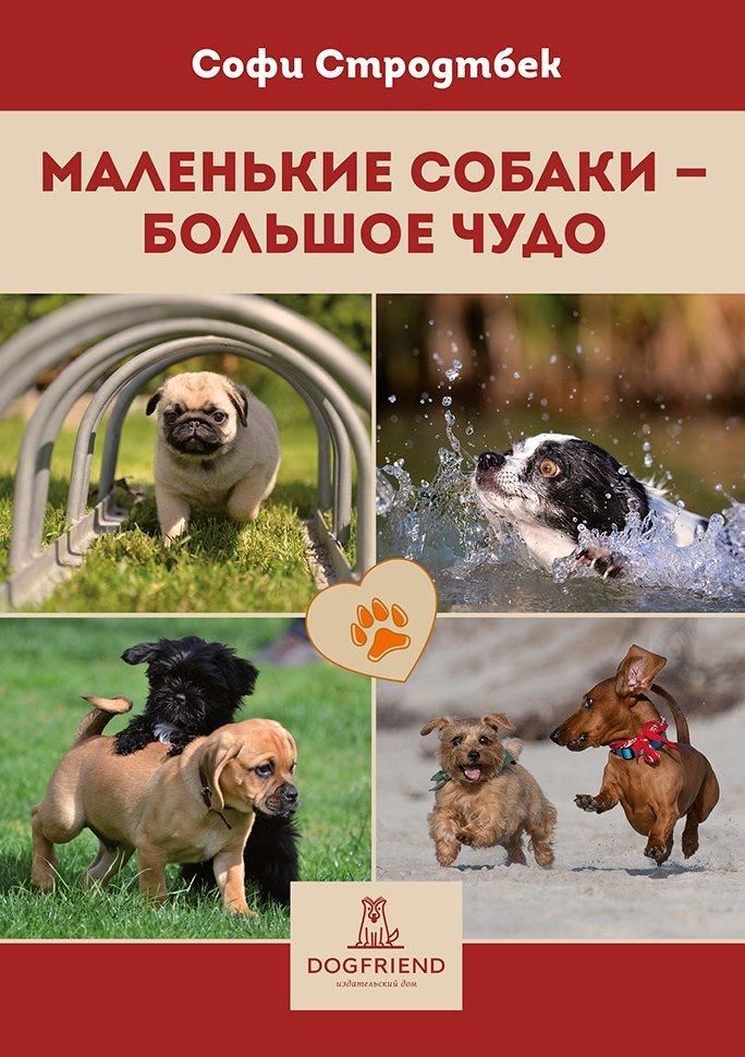 КНИГИ О ВОСПИТАНИИ И ДРЕССИРОВКЕ > Ольга Кажарская. Нескучная школа ...