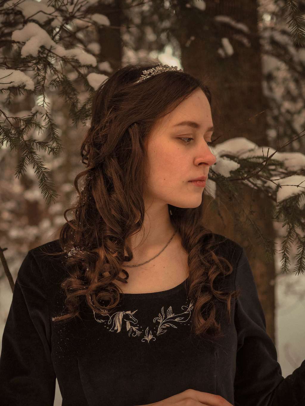 Хроники Нарнии