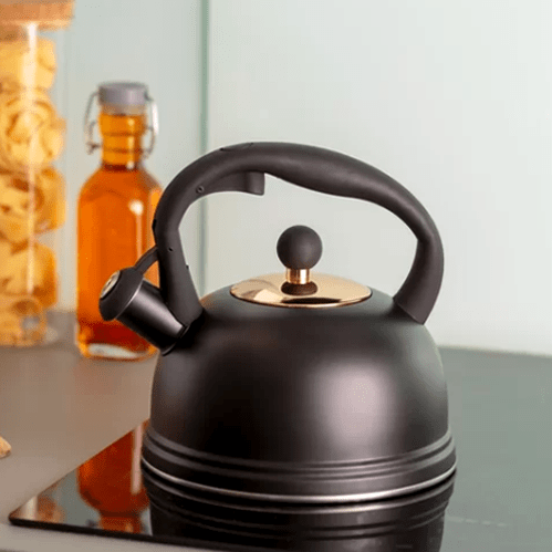 Чайник со свистком Otto 2 литра