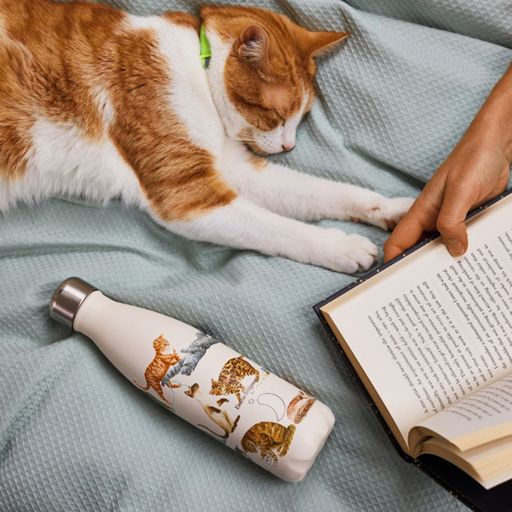 Термос Emma Bridgewater 500 мл Cats