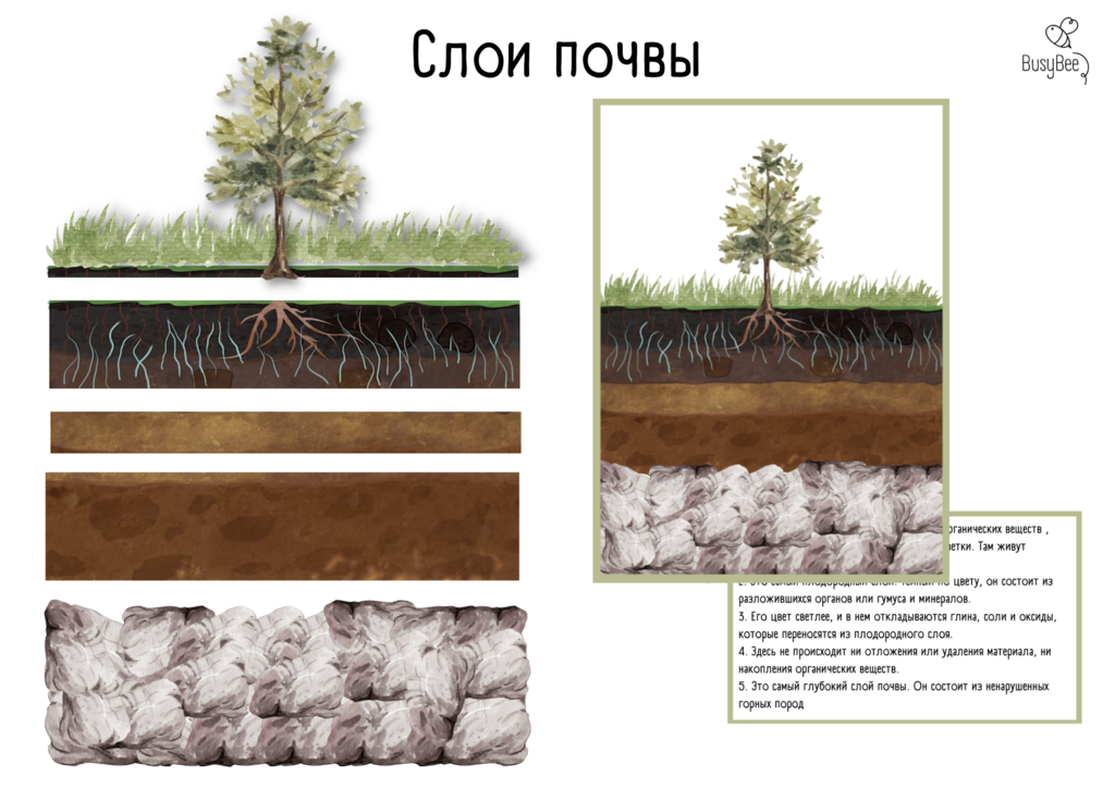 Второй слой почвы. Слои грунта. Палеонтологические слои почвы. Автоморфные почвы. Subsoil.