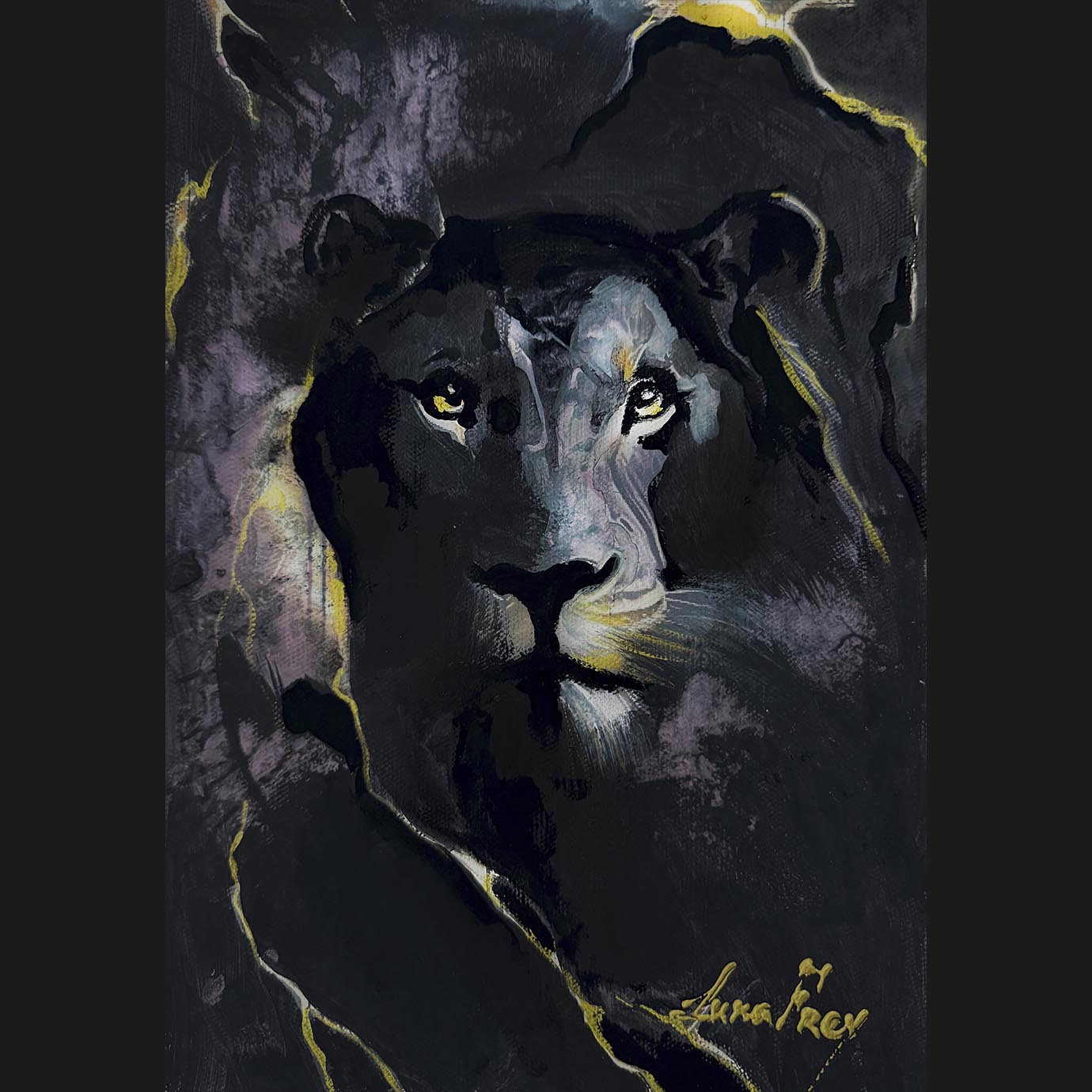 When the Night Opens Its Eyes