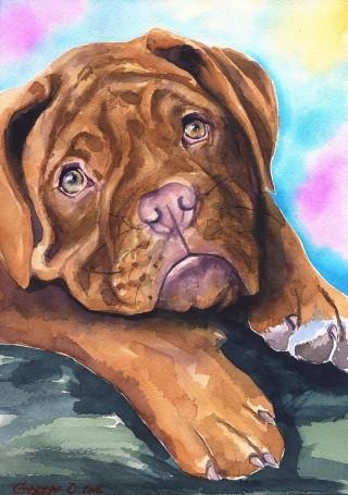 ARTCANVAS Dogue De Bordeaux Dog Breed Colorful Graffiti hot Canvas Art Print