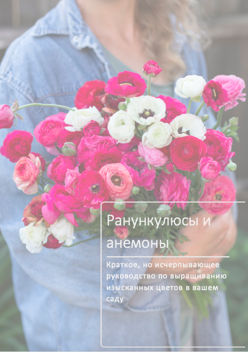 Пособия