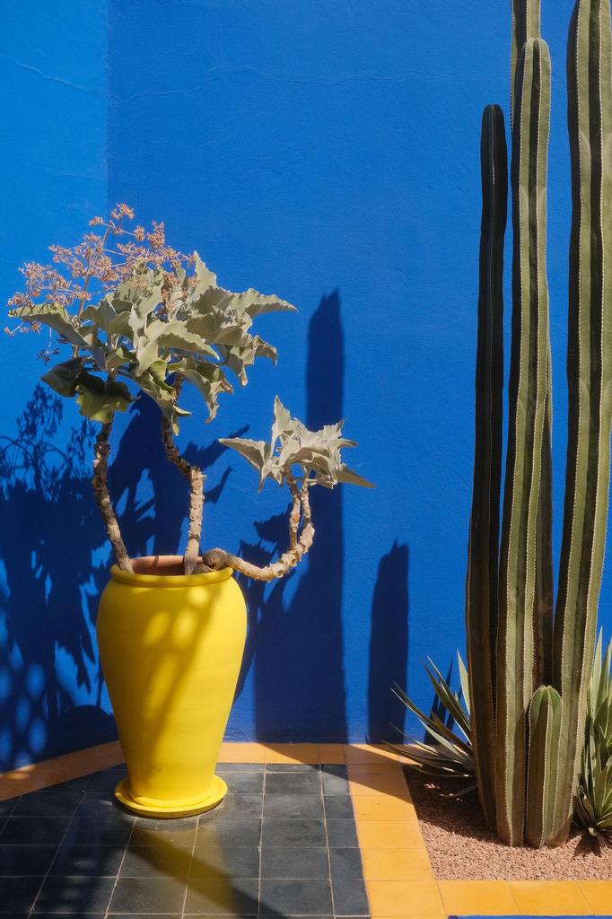 Moroccо