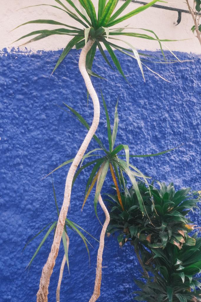 Moroccо
