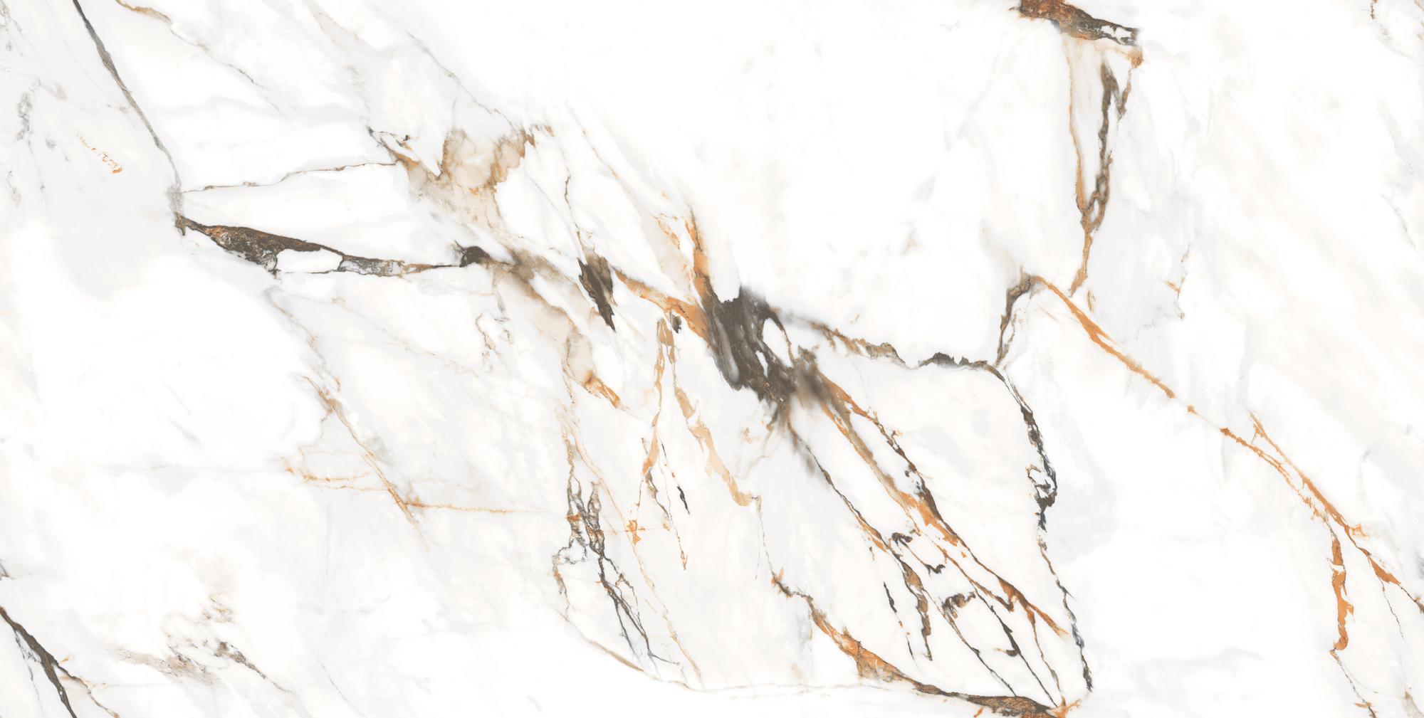 INFINITY CALCUTTA PAONAZZO