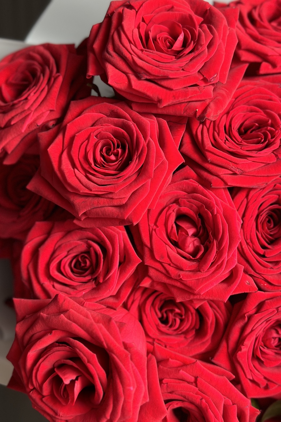 Daisy Mono Strauß "Rote Symphonie"