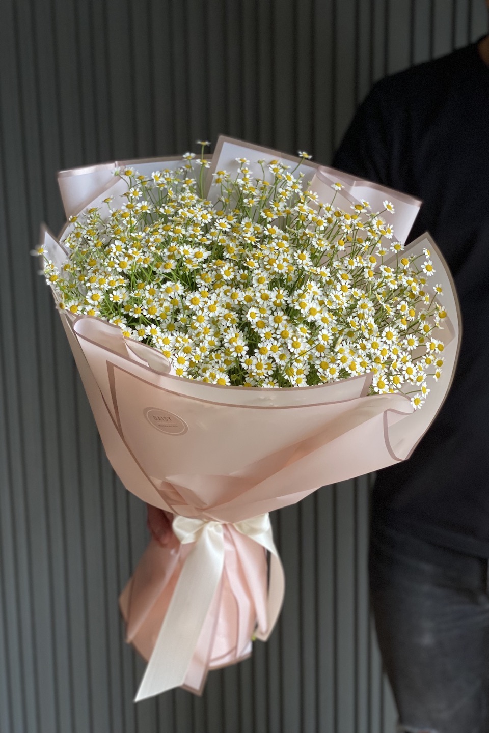 Daisy Mono Strauß "Hallo, Kamillen"