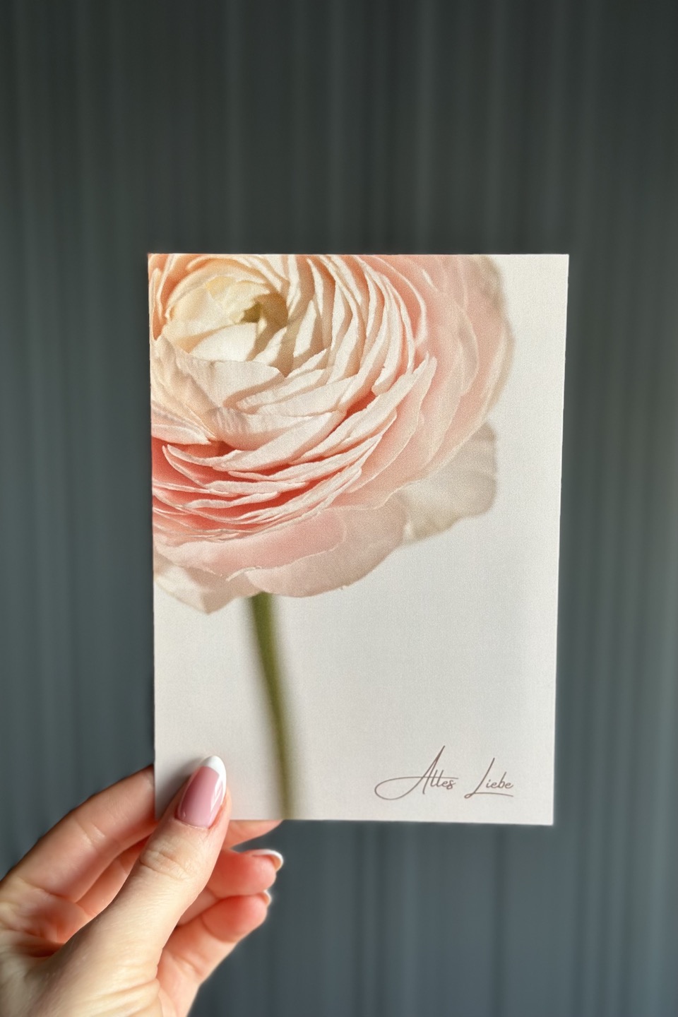 Daisy Postcard "Alles Liebe"