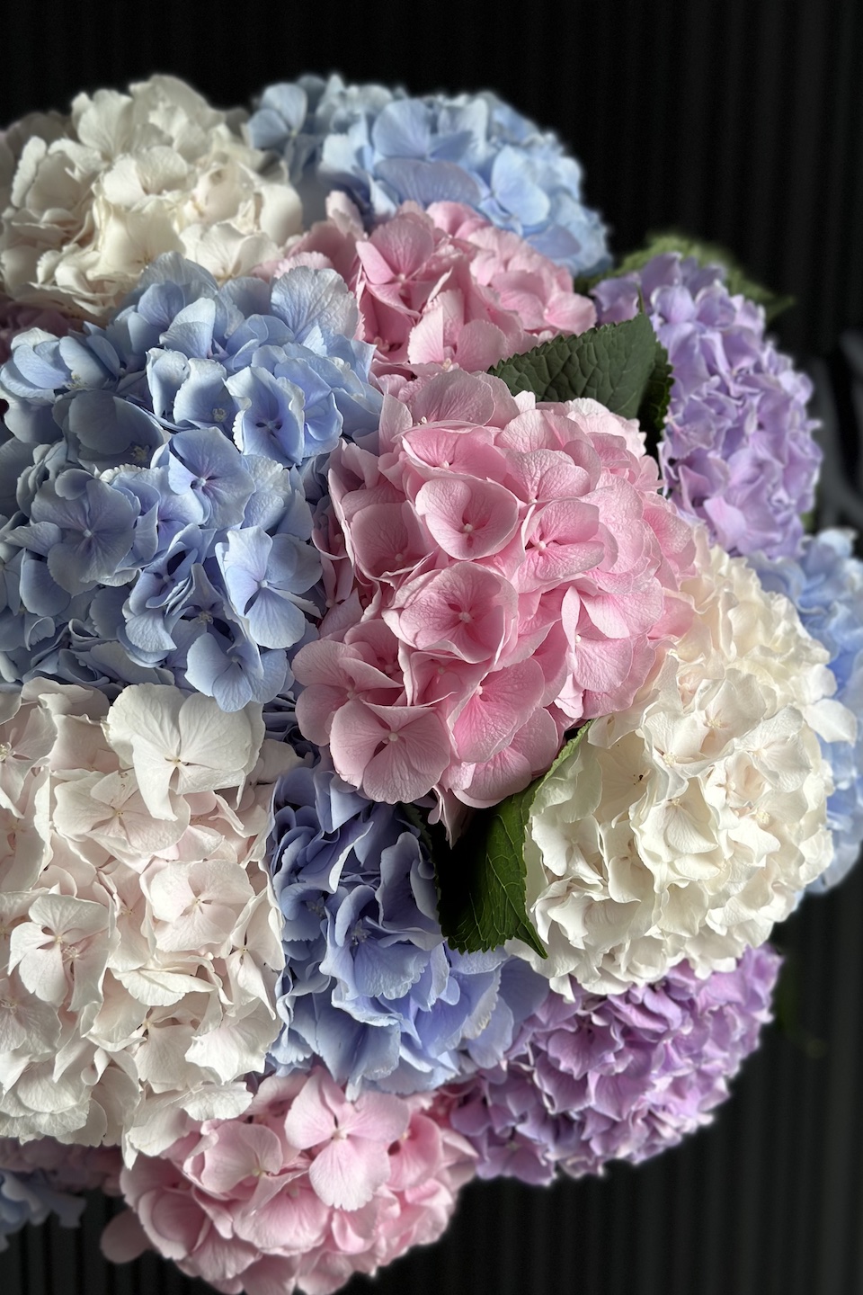 Daisy Mono Strauß "Hortensienwolke Pastel"