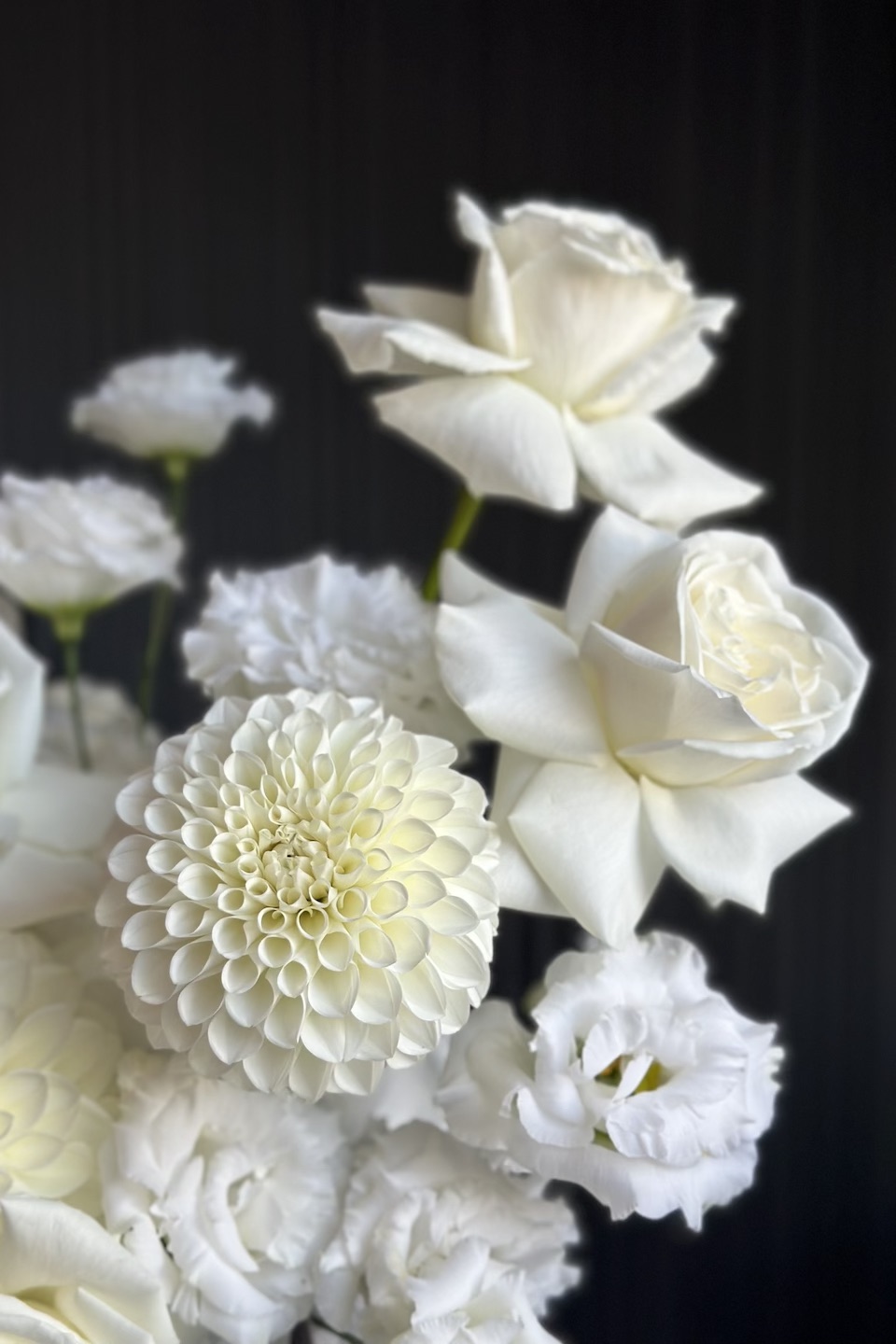 Daisy Arrangement "Schlicht und Edel"