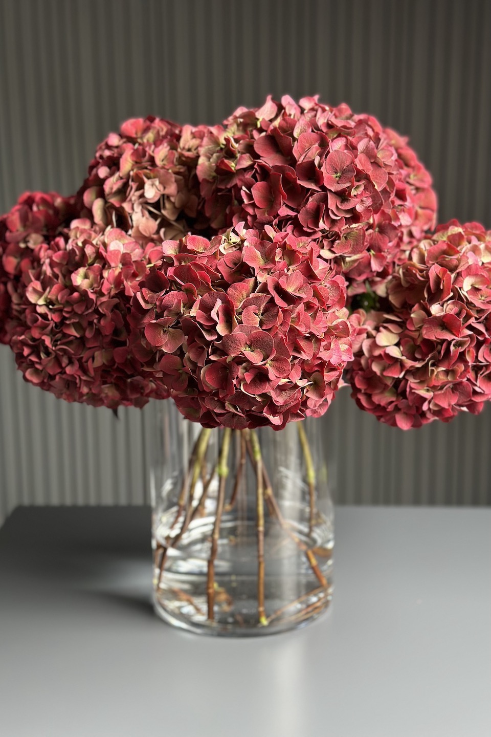 Daisy Mono Strauß "Autumn of hydrangeas"