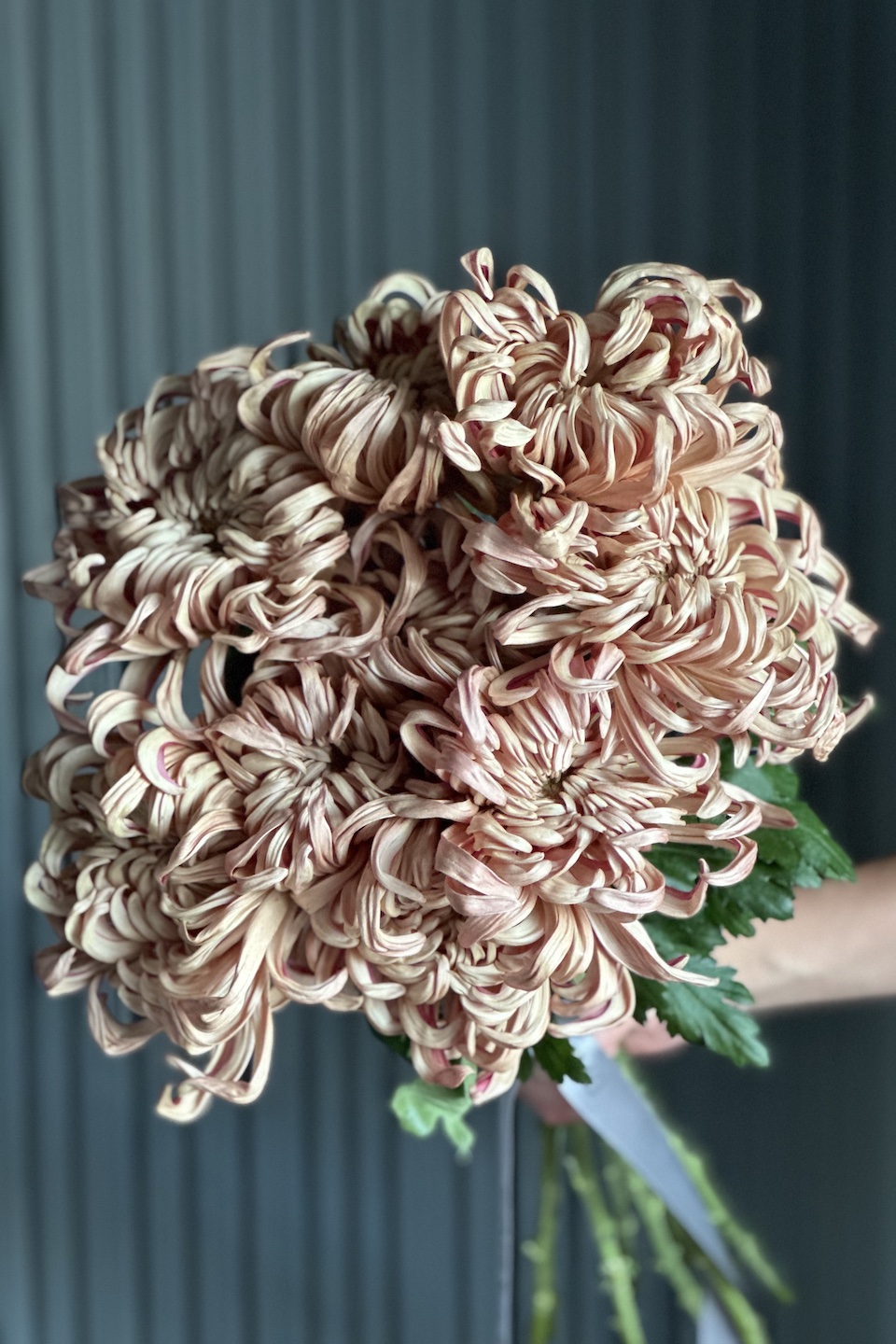 Daisy Mono Strauß "Trendy Autumn"