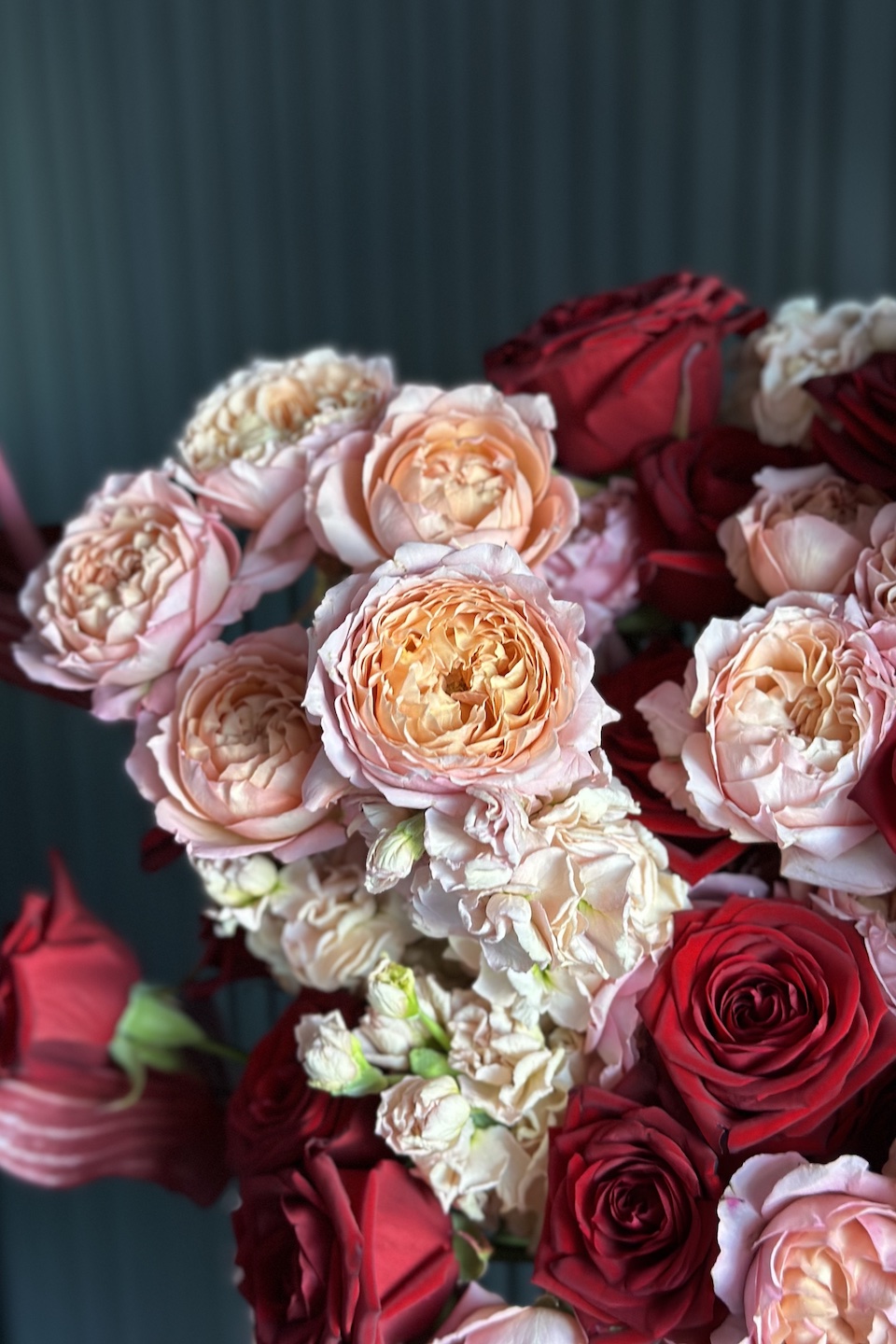 Daisy Special Strauß "To the moon and back"