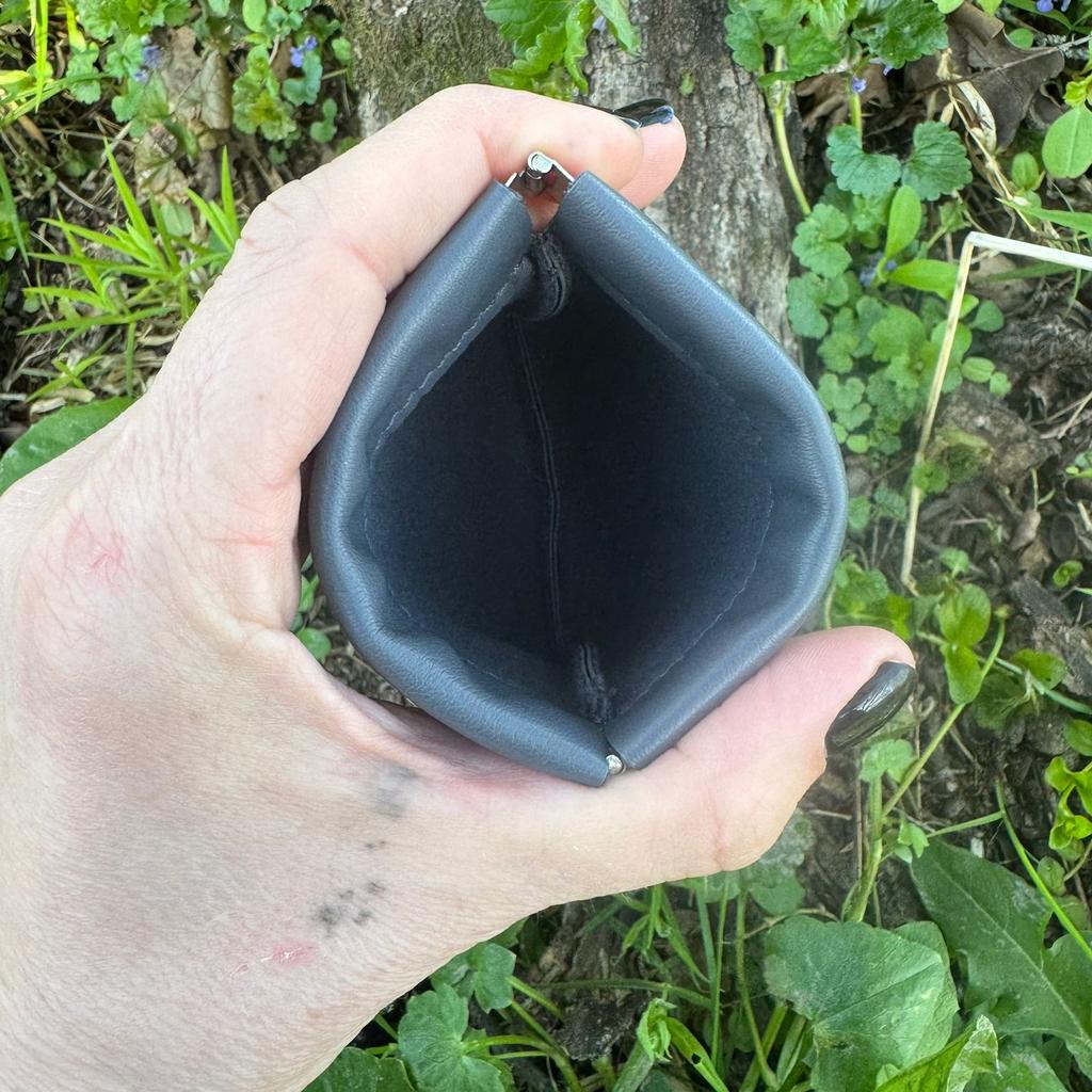 Бусеница