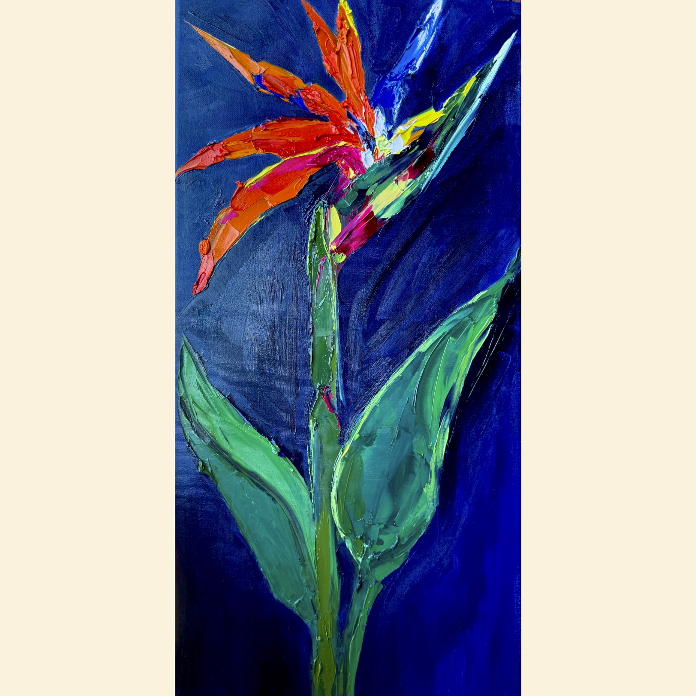 Bird of paradise