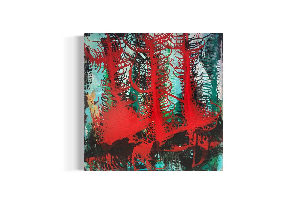 Red Pampas Grass