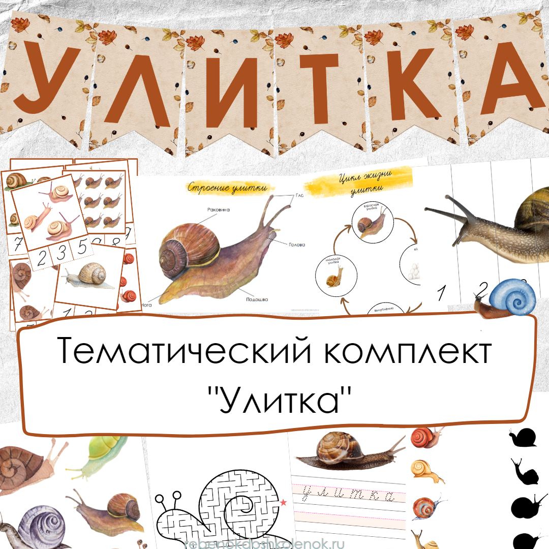 Набор улитка. Тематический комплект улитка. Набор для улиток. Улитка набор Lacore.