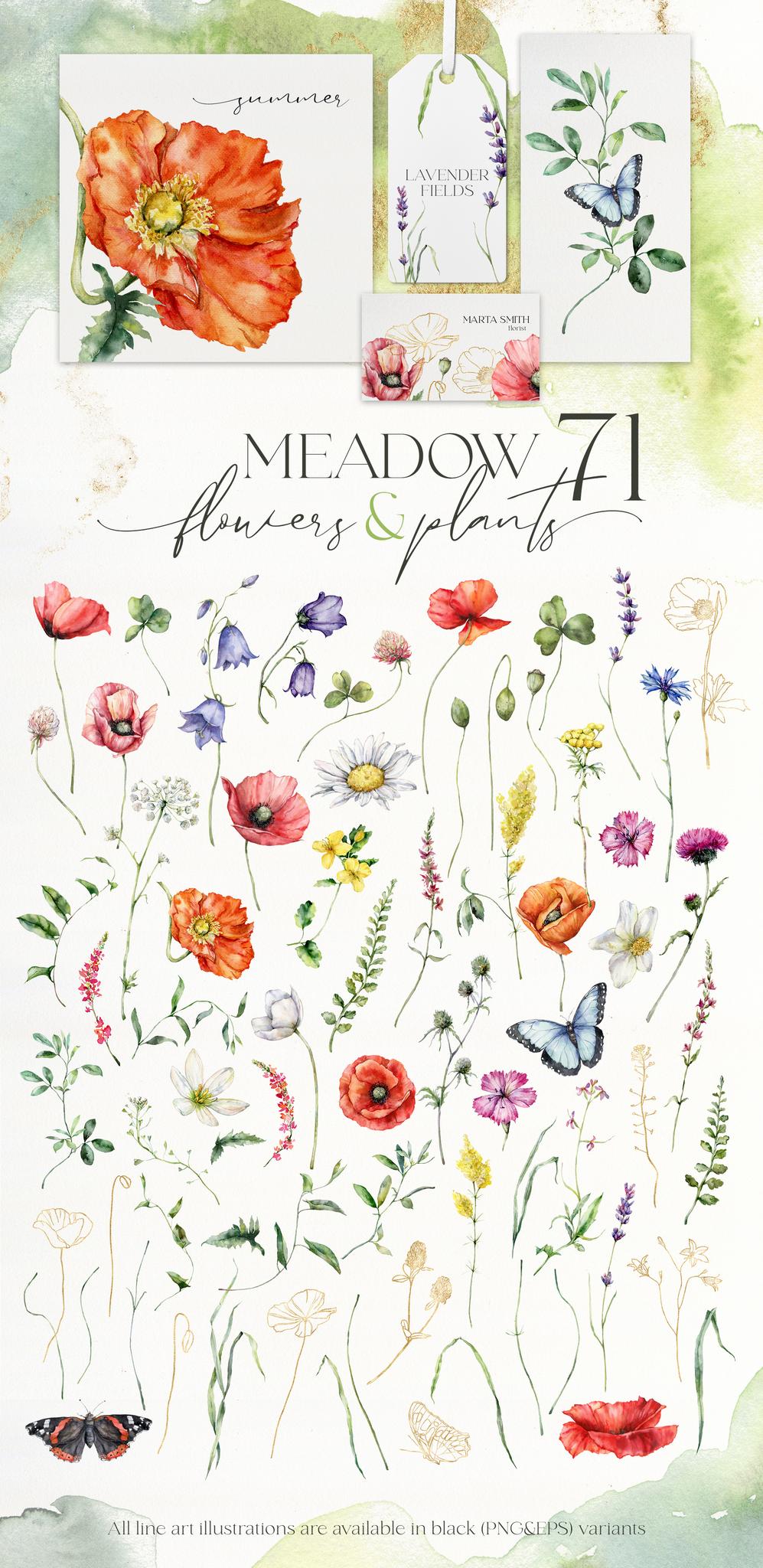 Summer Meadow Watercolor Floral Collection