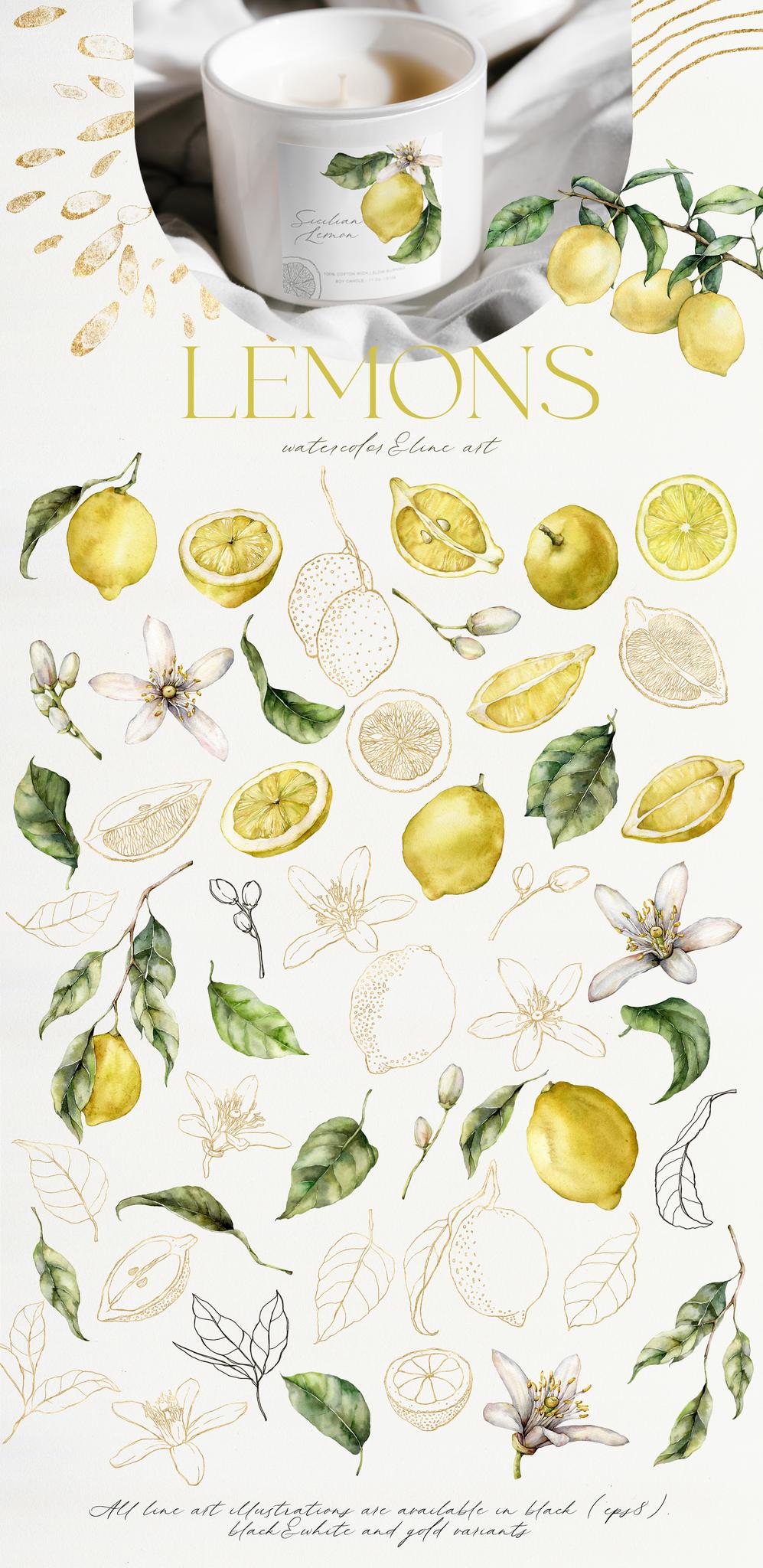 Lemons Watercolor Illustrations & Abstract Design
