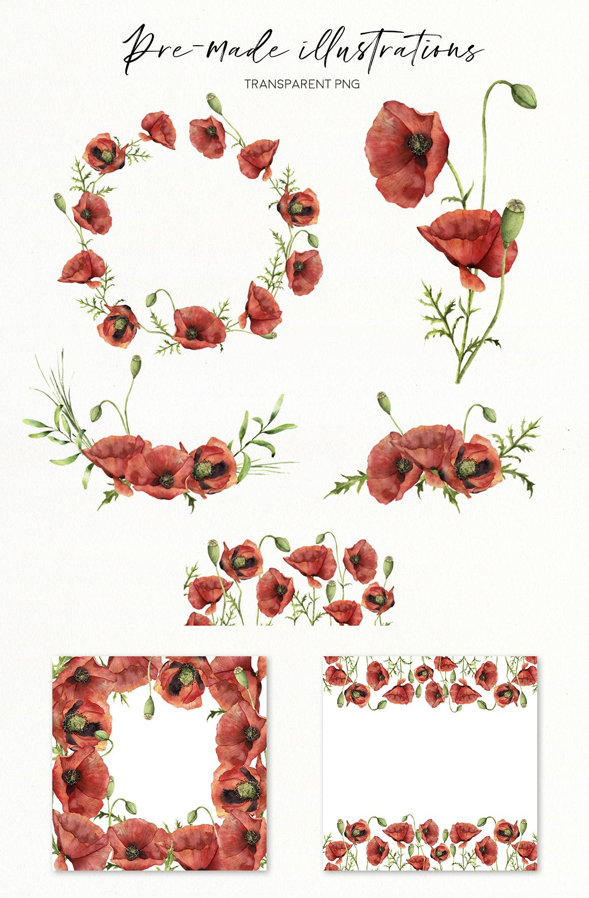 Poppies: flowers in red. Watercolor