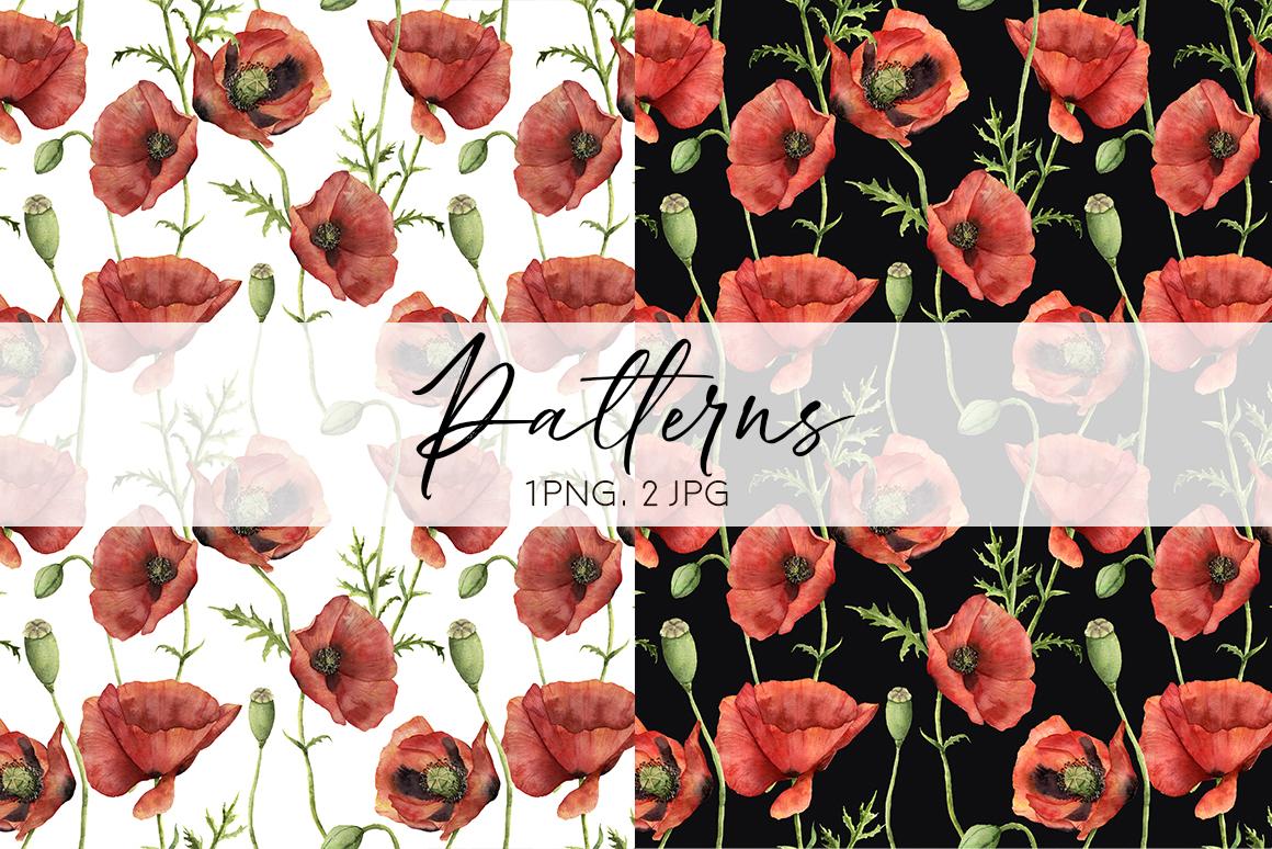 Poppies: flowers in red. Watercolor