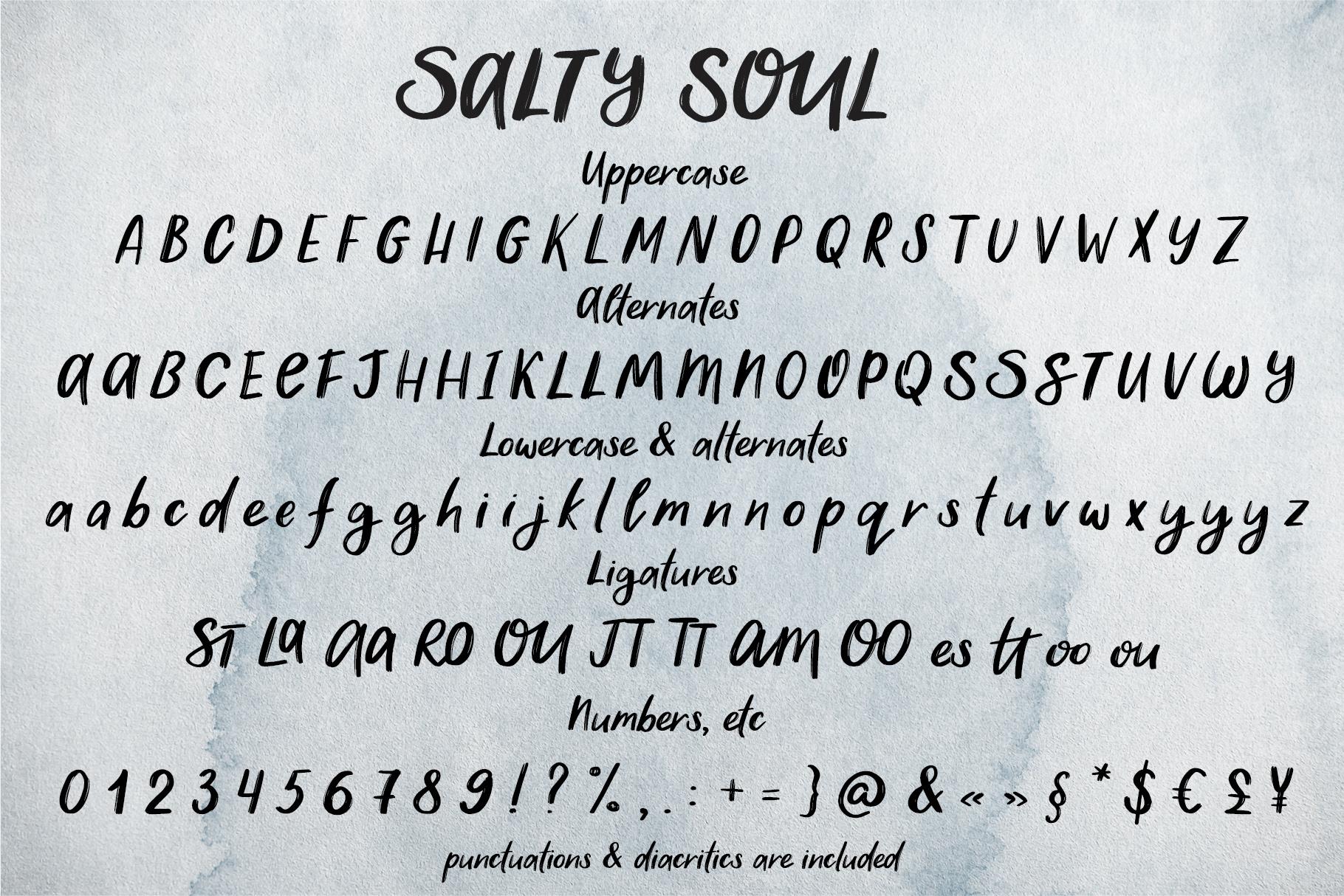 Salty Soul handwriting font + sea illustrations
