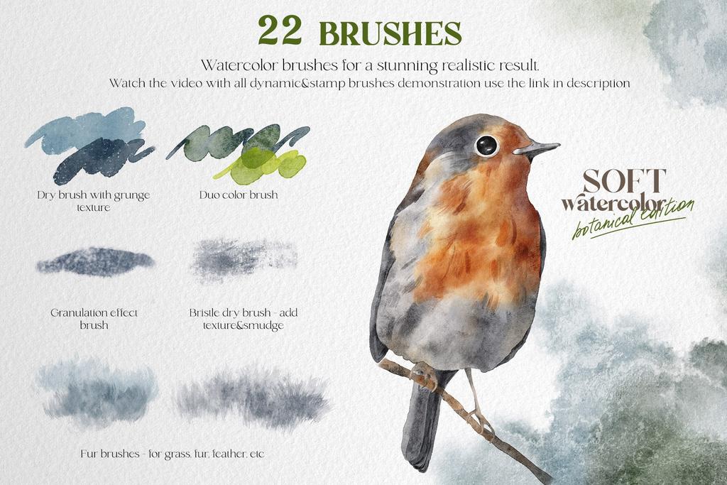 Wonderful Watercolors - Realistic & Natural Procreate Brushes – VisualTimmy