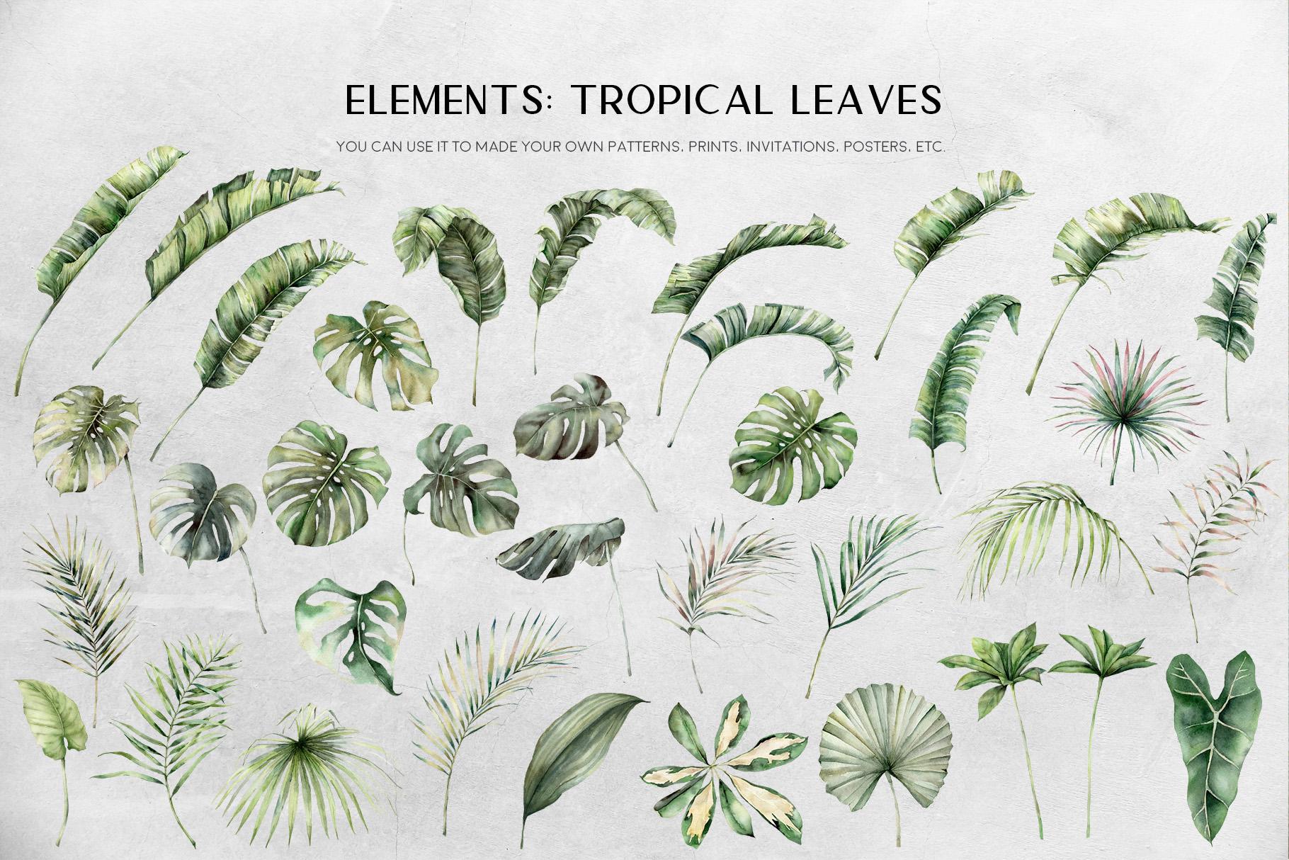 Tropics: tropical leaves and flowers surface patterns design