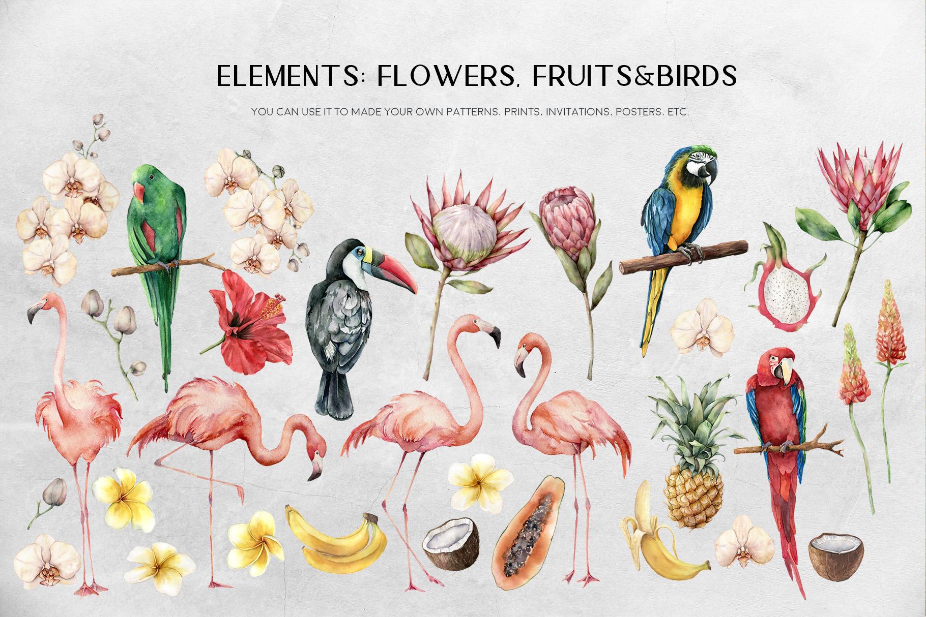 Tropics: tropical leaves and flowers surface patterns design