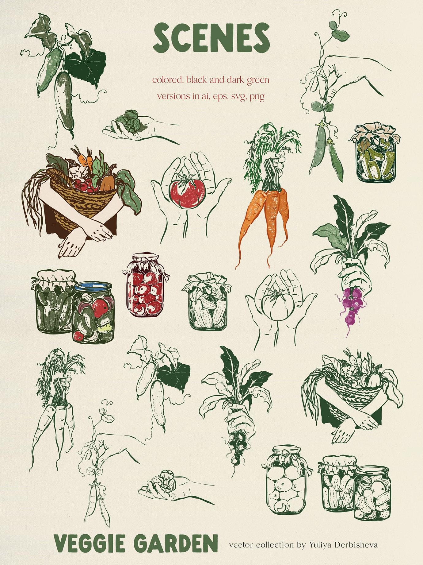 Veggie Garden – Hand-Drawn Vegetables Vector Illustrations, Patterns & Posters