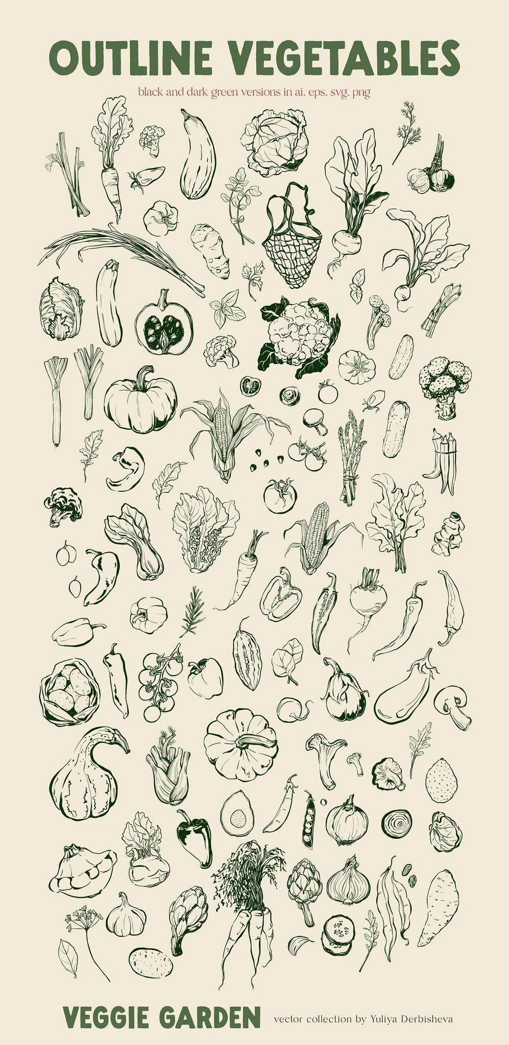 Veggie Garden – Hand-Drawn Vegetables Vector Illustrations, Patterns & Posters