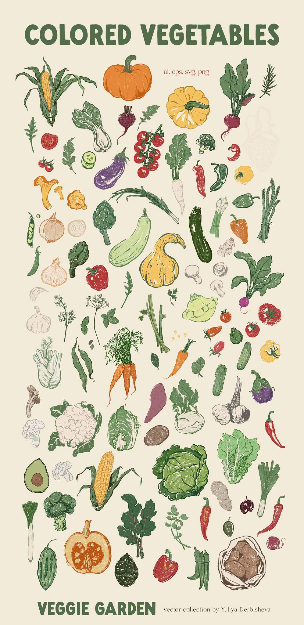 Veggie Garden – Hand-Drawn Vegetables Vector Illustrations, Patterns & Posters