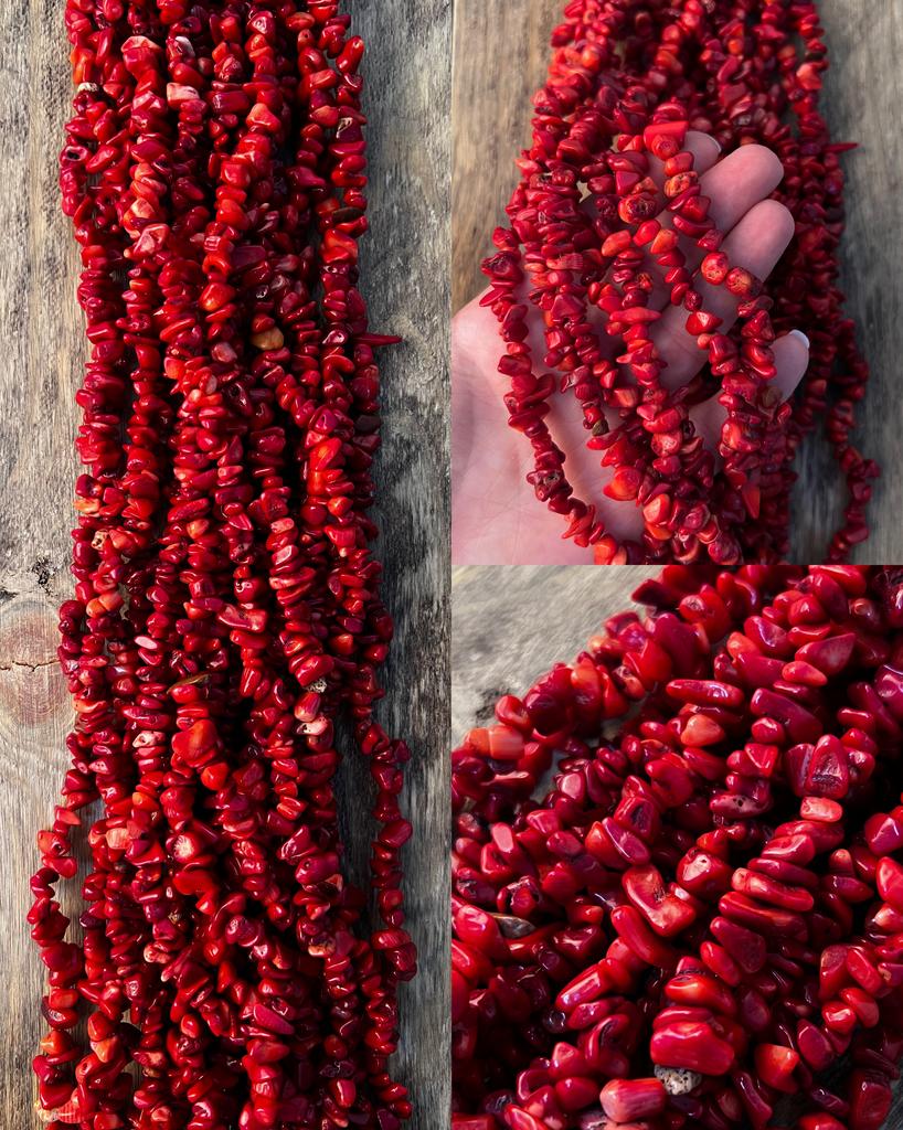 Коралл сколы