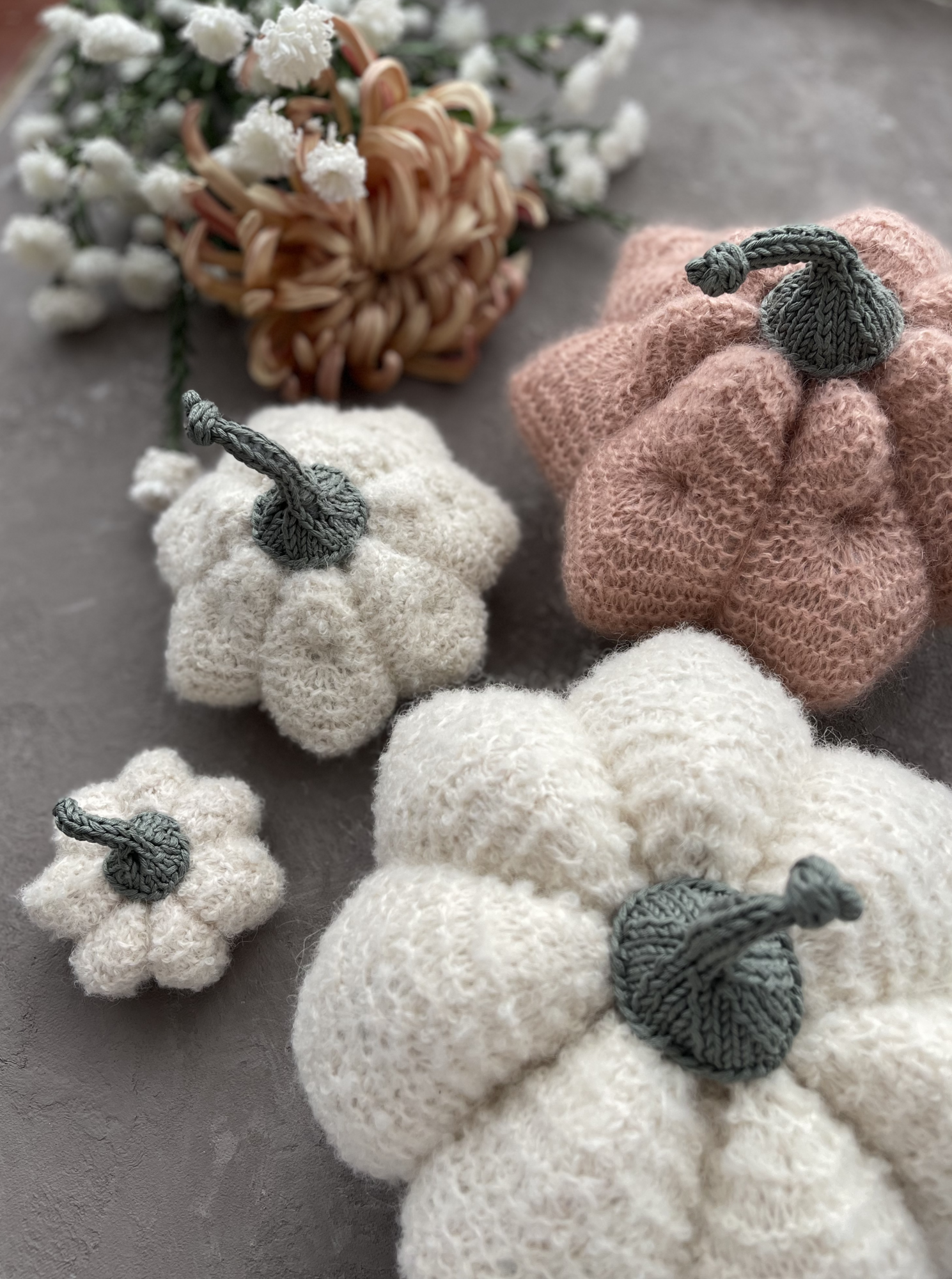 МК Fancy Squash family