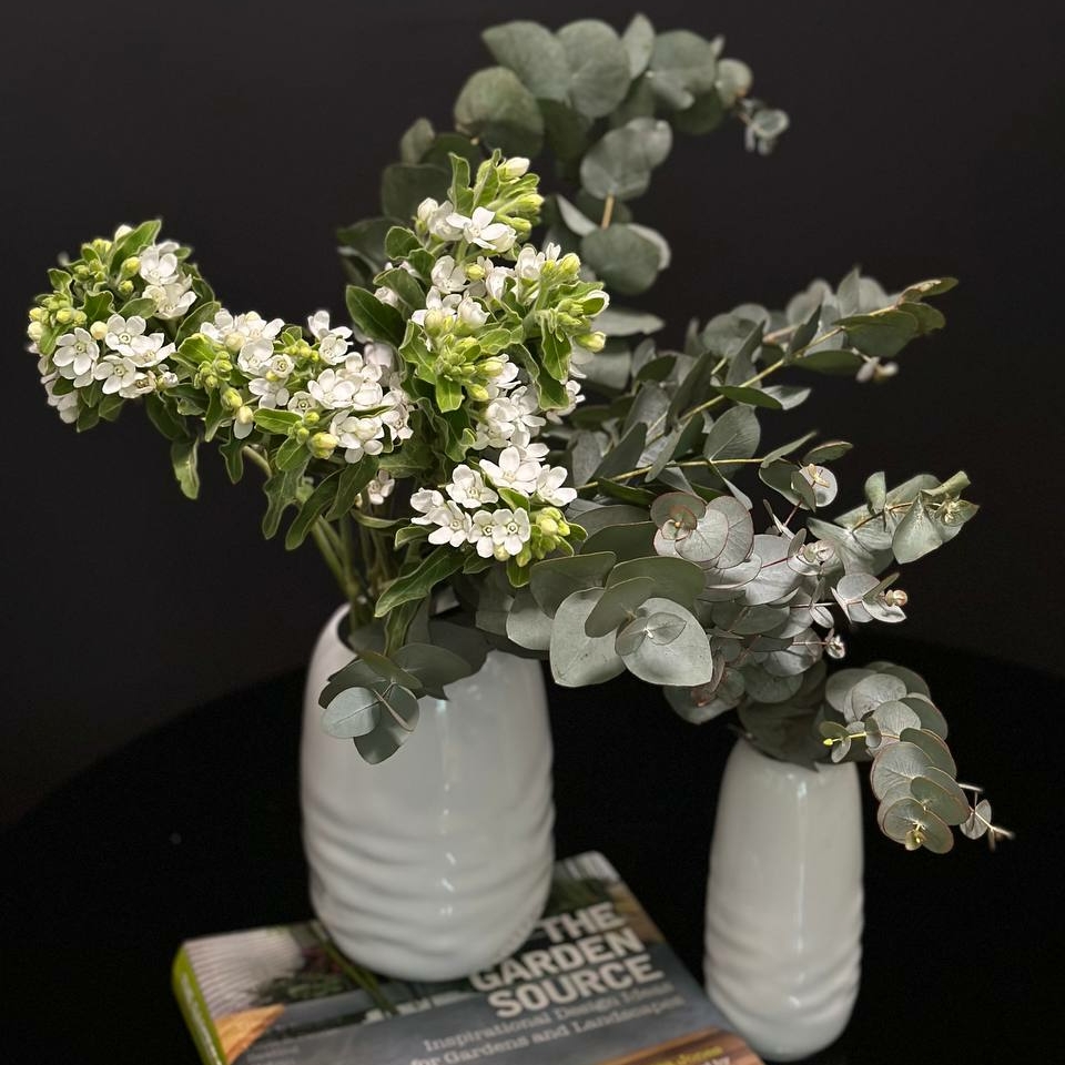 Arrangement contemporary eucalyptus duet