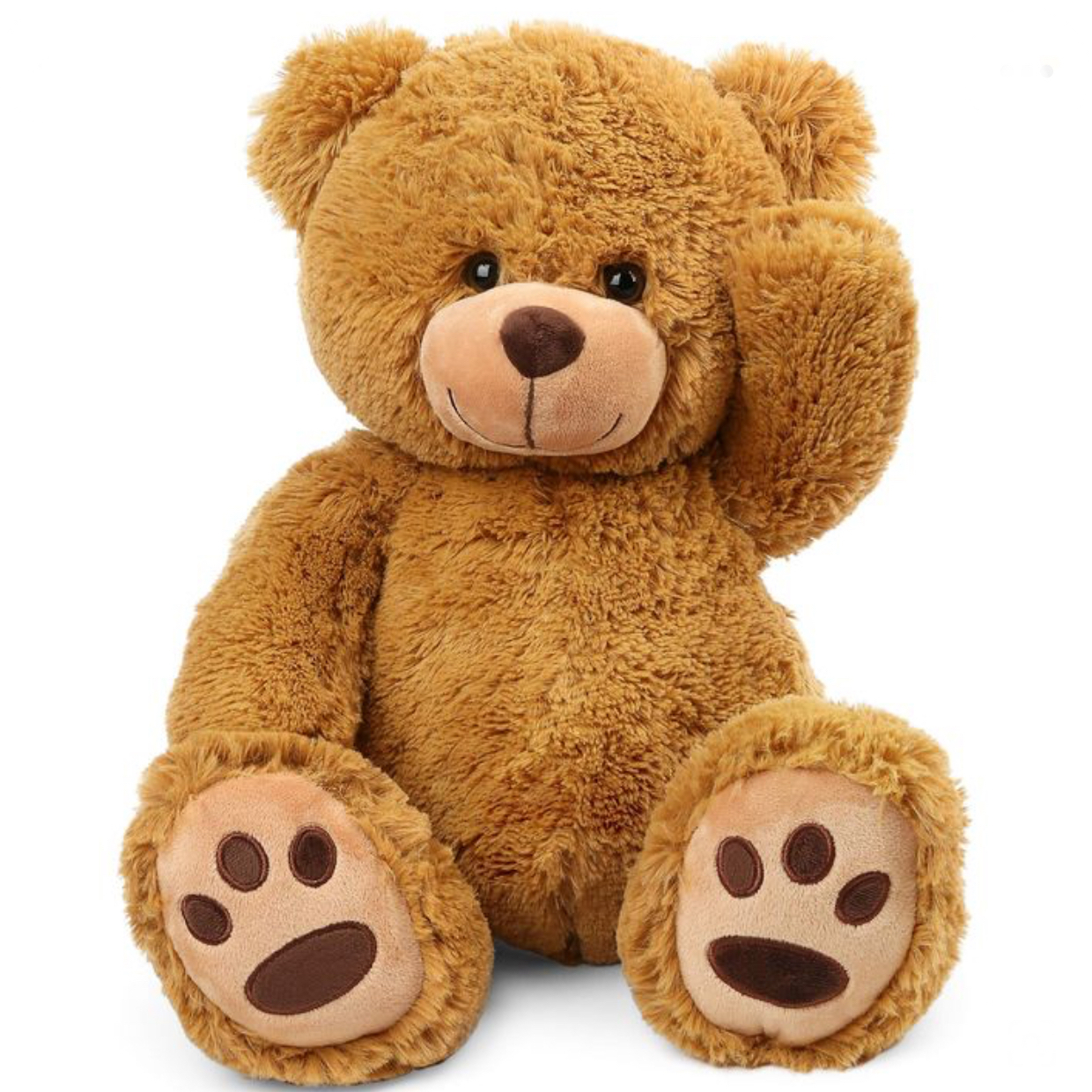 Teddy toy