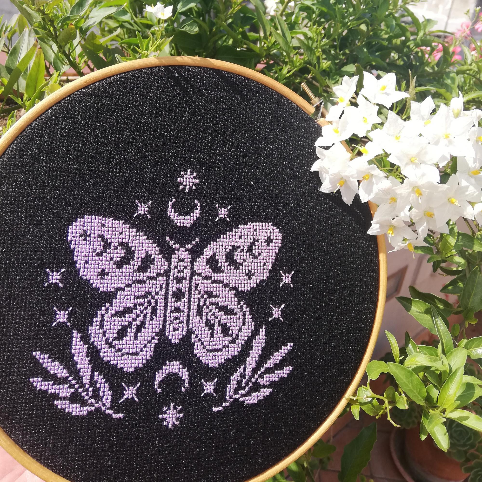 Місячний метелик 3