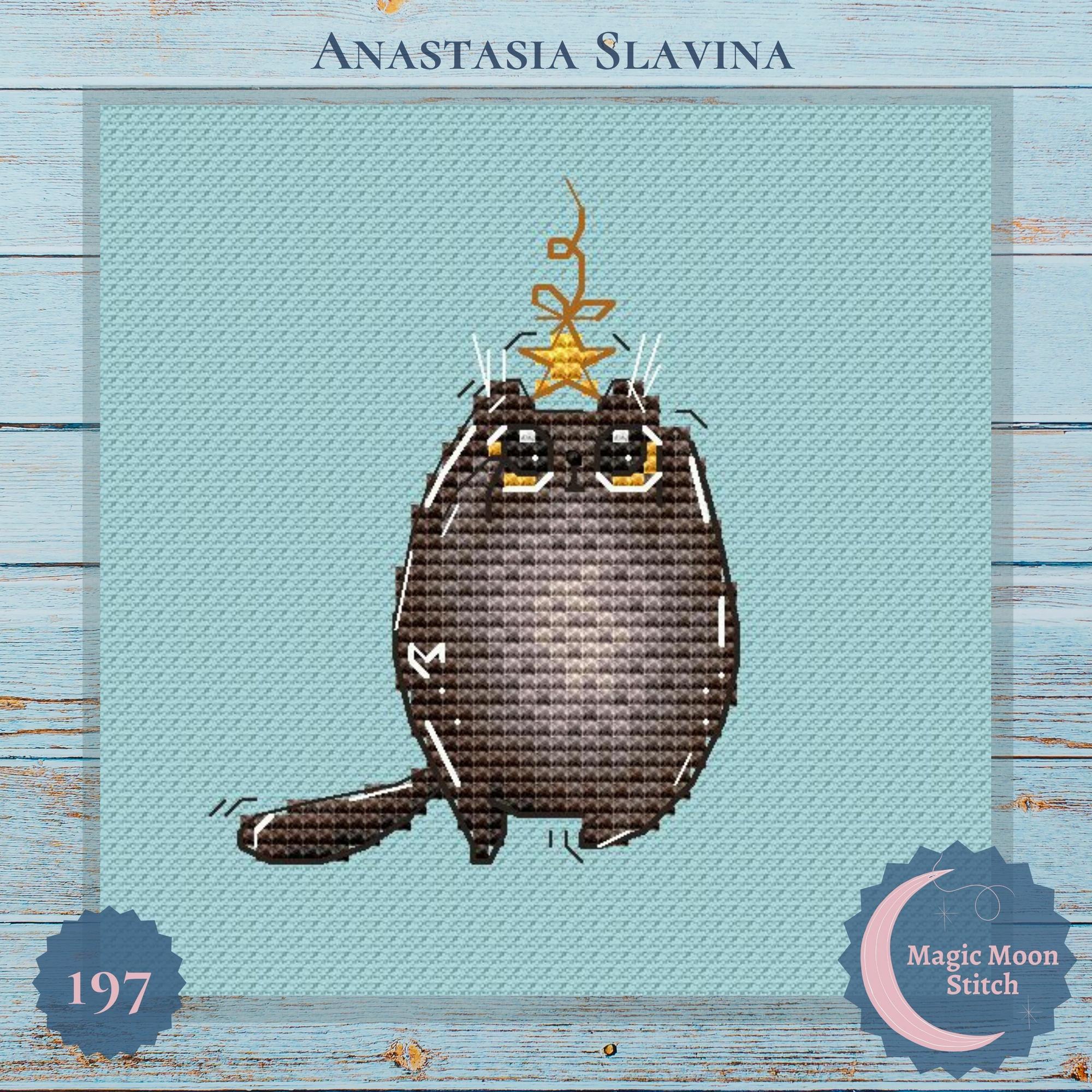 Котик з зірочкою