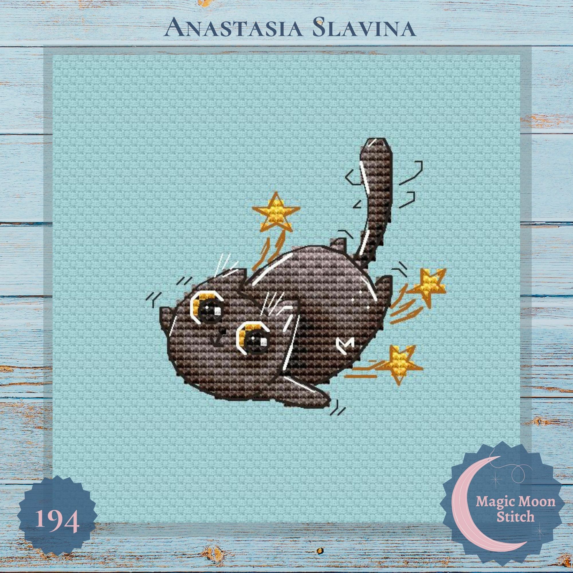 Котик із зірками