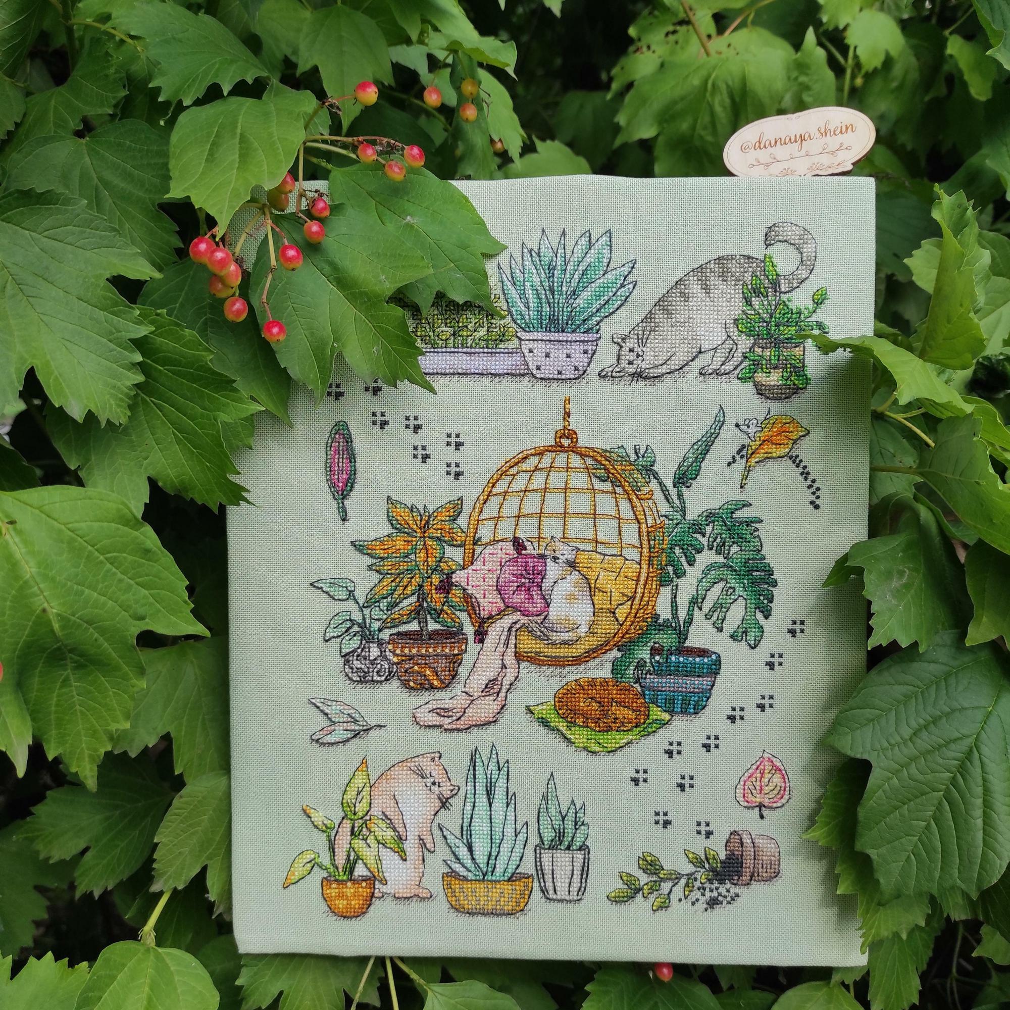 Домашні джунглі (котики)