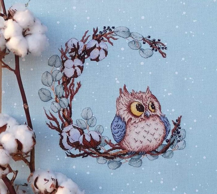 Совиний доброранок (Зимова сова)