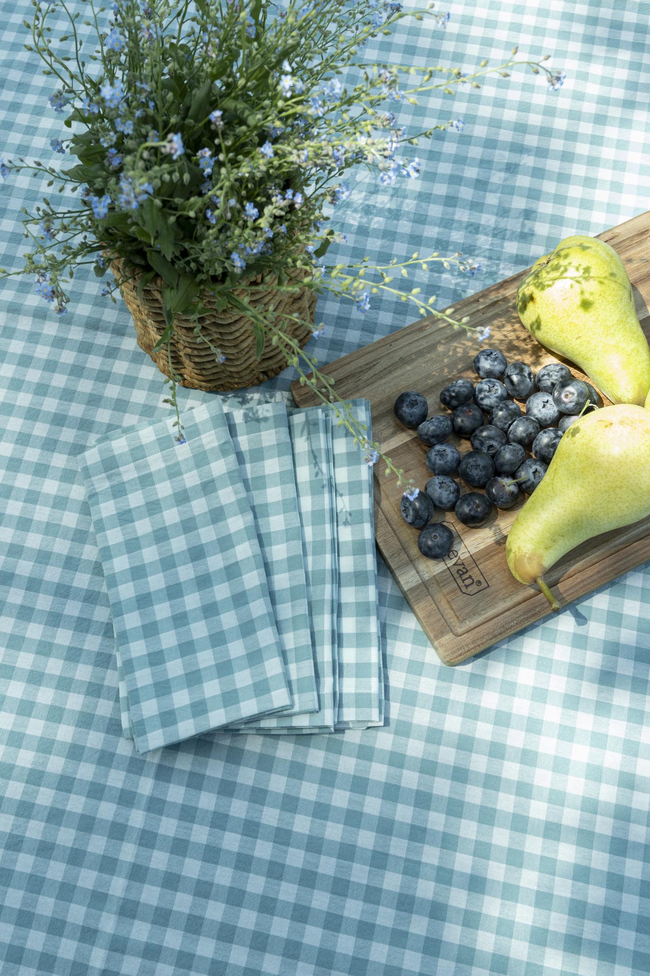 Комплект салфеток сине-зеленая клетка